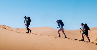 Desert Trek - Alan Gottlieb Logo